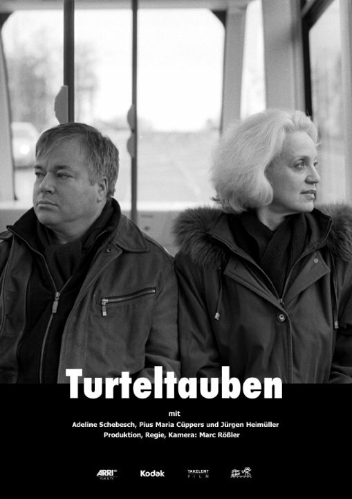 Turteltauben (2014)