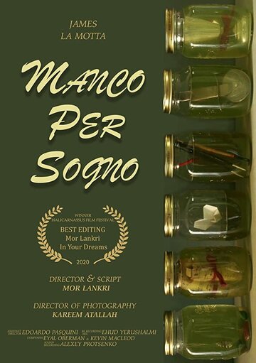 Manco per sogno (2020)